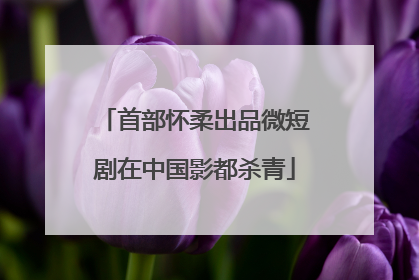 首部怀柔出品微短剧在中国影都杀青