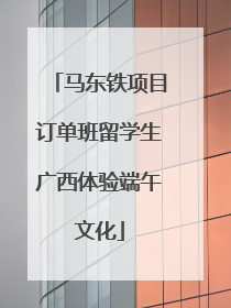 马东铁项目订单班留学生广西体验端午文化