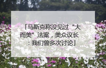 马斯克称没见过“大而美”法案，美众议长：我们曾多次讨论