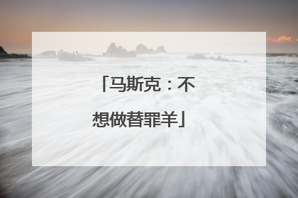 马斯克：不想做替罪羊