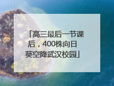 高三最后一节课后，400株向日葵空降武汉校园