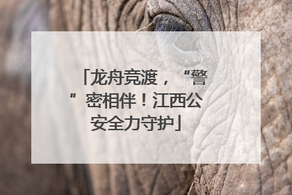 龙舟竞渡，“警”密相伴！江西公安全力守护