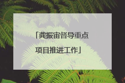 龚振宙督导重点项目推进工作