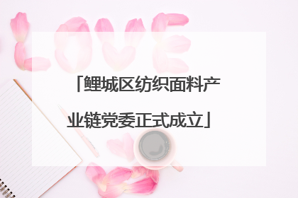 鲤城区纺织面料产业链党委正式成立