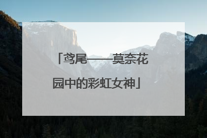 鸢尾——莫奈花园中的彩虹女神