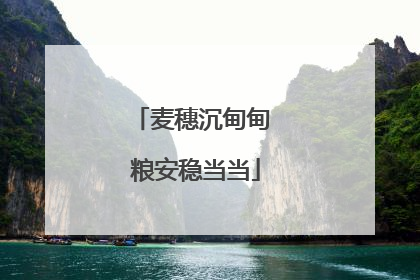麦穗沉甸甸 粮安稳当当