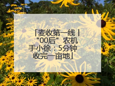 麦收第一线丨“00后”农机手小徐：5分钟收完一亩地