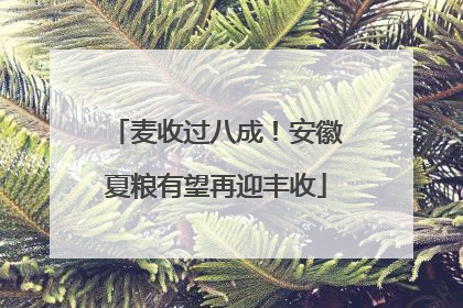 麦收过八成！安徽夏粮有望再迎丰收