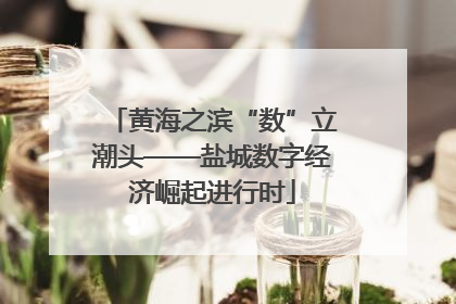 黄海之滨“数”立潮头——盐城数字经济崛起进行时