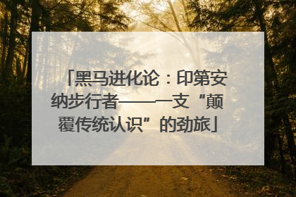 黑马进化论：印第安纳步行者——一支“颠覆传统认识”的劲旅