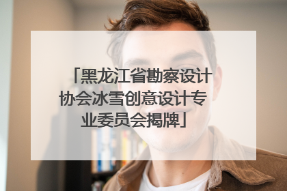黑龙江省勘察设计协会冰雪创意设计专业委员会揭牌