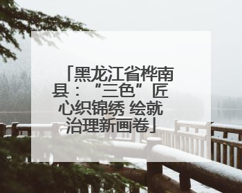 黑龙江省桦南县：“三色”匠心织锦绣 绘就治理新画卷