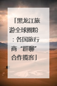 黑龙江旅游全球圈粉：各国旅行商“群聊”合作揽客