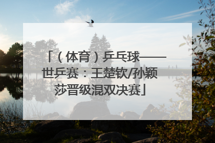 （体育）乒乓球——世乒赛：王楚钦/孙颖莎晋级混双决赛
