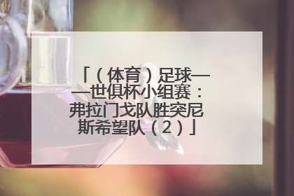 （体育）足球——世俱杯小组赛：弗拉门戈队胜突尼斯希望队（2）