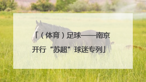 （体育）足球——南京开行“苏超”球迷专列