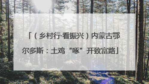 （乡村行·看振兴）内蒙古鄂尔多斯：土鸡“啄”开致富路