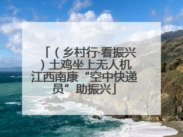 （乡村行·看振兴）土鸡坐上无人机 江西南康“空中快递员”助振兴