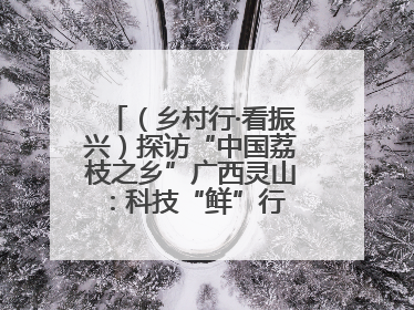 （乡村行·看振兴）探访“中国荔枝之乡”广西灵山：科技“鲜”行 实“荔”C位