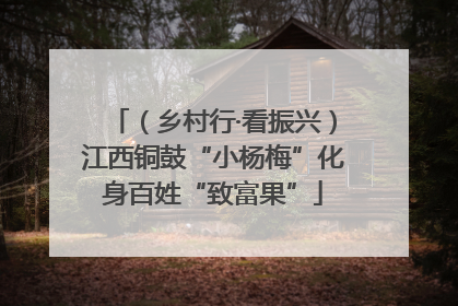 （乡村行·看振兴）江西铜鼓“小杨梅”化身百姓“致富果”