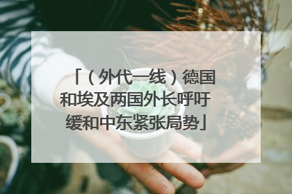 （外代一线）德国和埃及两国外长呼吁缓和中东紧张局势