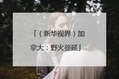 （新华视界）加拿大：野火蔓延