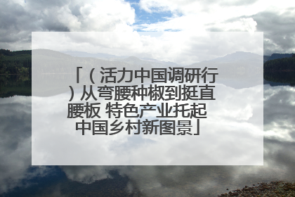 （活力中国调研行）从弯腰种椒到挺直腰板 特色产业托起中国乡村新图景
