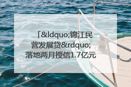 “锦江民营发展贷”落地两月授信1.7亿元，惠及118家民企