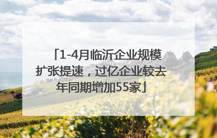 1-4月临沂企业规模扩张提速，过亿企业较去年同期增加55家