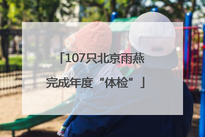 107只北京雨燕完成年度“体检”