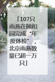 107只雨燕在颐和园完成“年度体检”，北京雨燕数量已超一万只