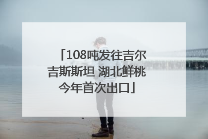 108吨发往吉尔吉斯斯坦 湖北鲜桃今年首次出口