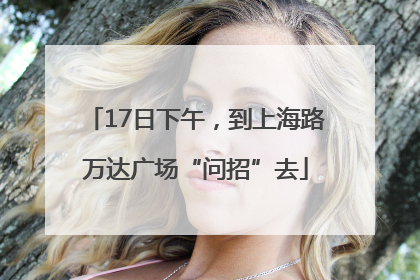 17日下午，到上海路万达广场“问招”去