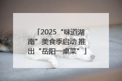 2025“味道湖南”美食季启动 推出“岳阳一桌菜”