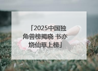 2025中国独角兽榜揭晓 书亦烧仙草上榜