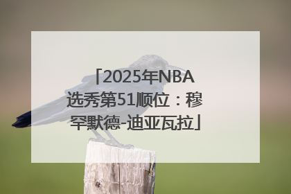 2025年NBA选秀第51顺位：穆罕默德-迪亚瓦拉
