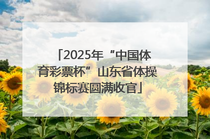 2025年“中国体育彩票杯”山东省体操锦标赛圆满收官