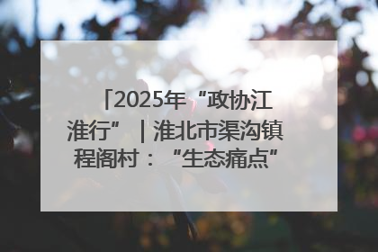 2025年“政协江淮行”｜淮北市渠沟镇程阁村：“生态痛点”变“生态景观”
