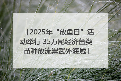 2025年“放鱼日”活动举行 35万尾经济鱼类苗种放流崇武外海域