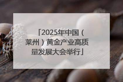 2025年中国（莱州）黄金产业高质量发展大会举行