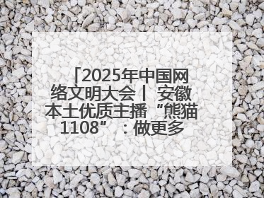2025年中国网络文明大会丨 安徽本土优质主播“熊猫1108”：做更多正能量的事情 带给大家快乐