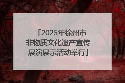 2025年徐州市非物质文化遗产宣传展演展示活动举行