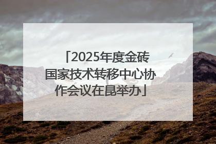 2025年度金砖国家技术转移中心协作会议在昆举办