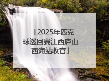 2025年匹克球巡回赛江西庐山西海站收官