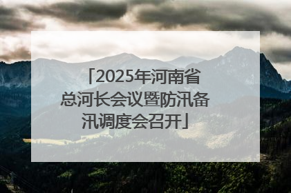 2025年河南省总河长会议暨防汛备汛调度会召开