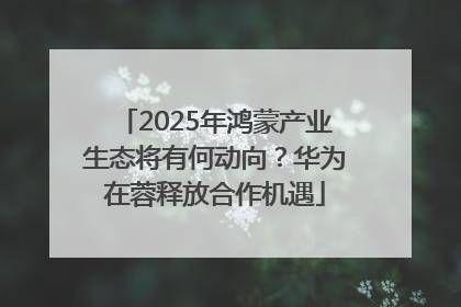 2025年鸿蒙产业生态将有何动向？华为在蓉释放合作机遇
