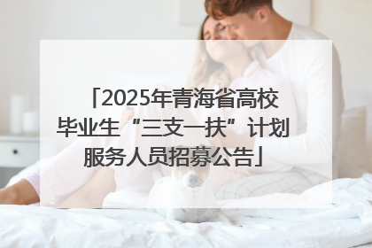 2025年青海省高校毕业生“三支一扶”计划服务人员招募公告