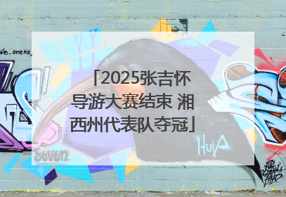 2025张吉怀导游大赛结束 湘西州代表队夺冠