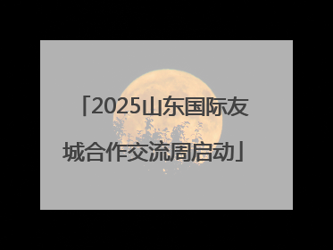 2025山东国际友城合作交流周启动