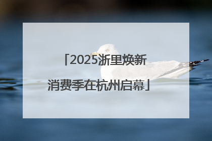 2025浙里焕新消费季在杭州启幕